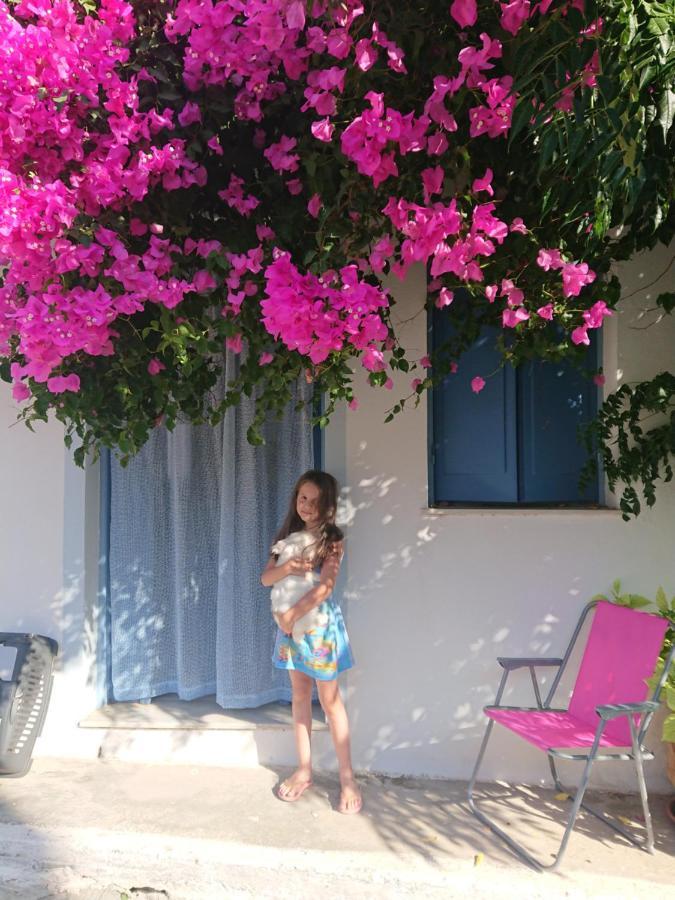 מוכלוס ~~ Sea Breeze Covered House ~~ מראה חיצוני תמונה